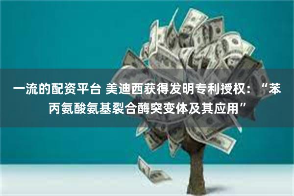 一流的配资平台 美迪西获得发明专利授权：“苯丙氨酸氨基裂合酶突变体及其应用”