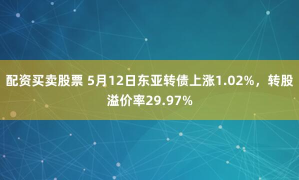 配资买卖股票 5月12日东亚转债上涨1.02%，转股溢价率29.97%