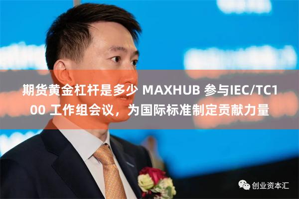期货黄金杠杆是多少 MAXHUB 参与IEC/TC100 工作组会议，为国际标准制定贡献力量