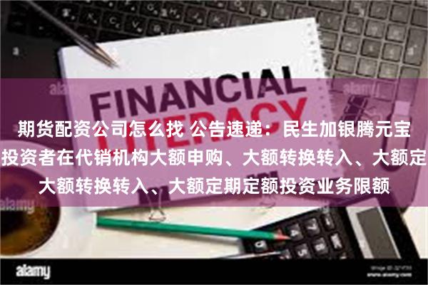 期货配资公司怎么找 公告速递：民生加银腾元宝货币基金调整非个人投资者在代销机构大额申购、大额转换转入、大额定期定额投资业务限额