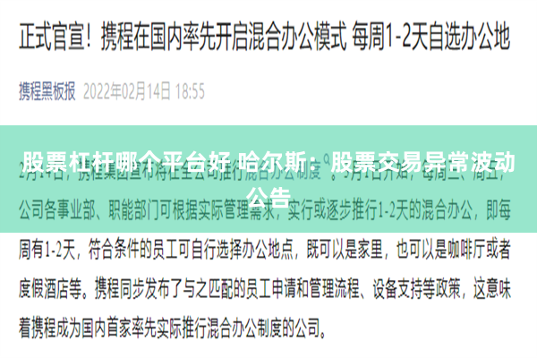股票杠杆哪个平台好 哈尔斯：股票交易异常波动公告
