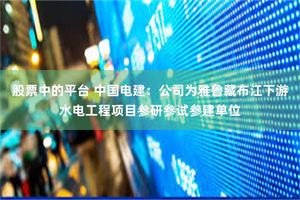 股票中的平台 中国电建：公司为雅鲁藏布江下游水电工程项目参研参试参建单位