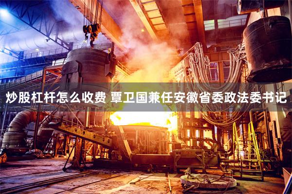炒股杠杆怎么收费 覃卫国兼任安徽省委政法委书记