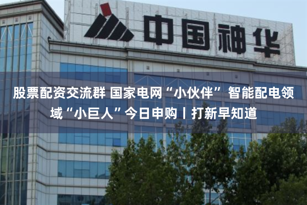 股票配资交流群 国家电网“小伙伴” 智能配电领域“小巨人”今日申购丨打新早知道