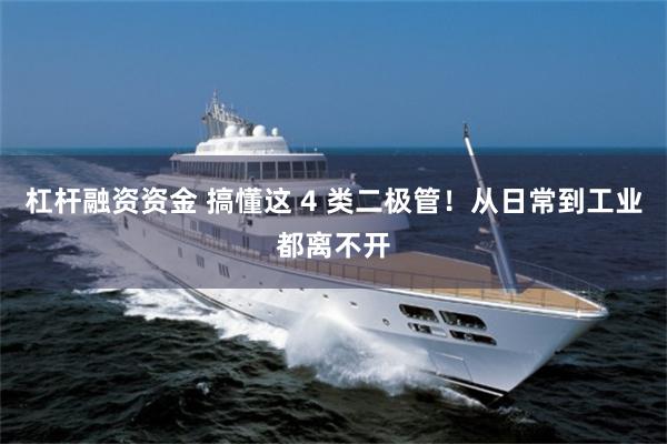 杠杆融资资金 搞懂这 4 类二极管！从日常到工业都离不开